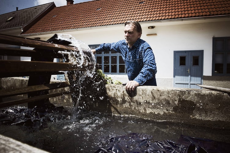 Blaudruck, Koó, Servus am Marktplatz
