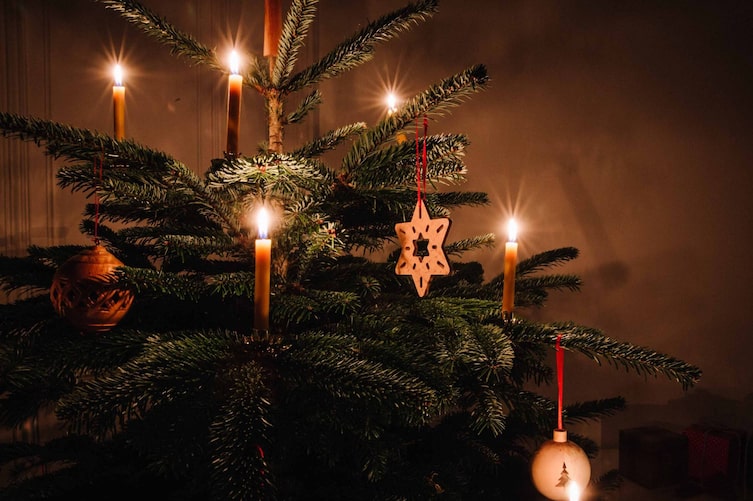 Der erste Christbaum bei den Waldbauern - eine Weihnachtsgeschichte von Peter Rosegger (Foto: Doris Himmelbauer)