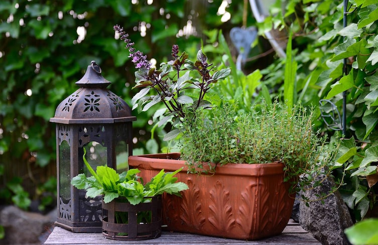 Garten, Gartengestaltung, Kräuter, Laterne, Balkon
