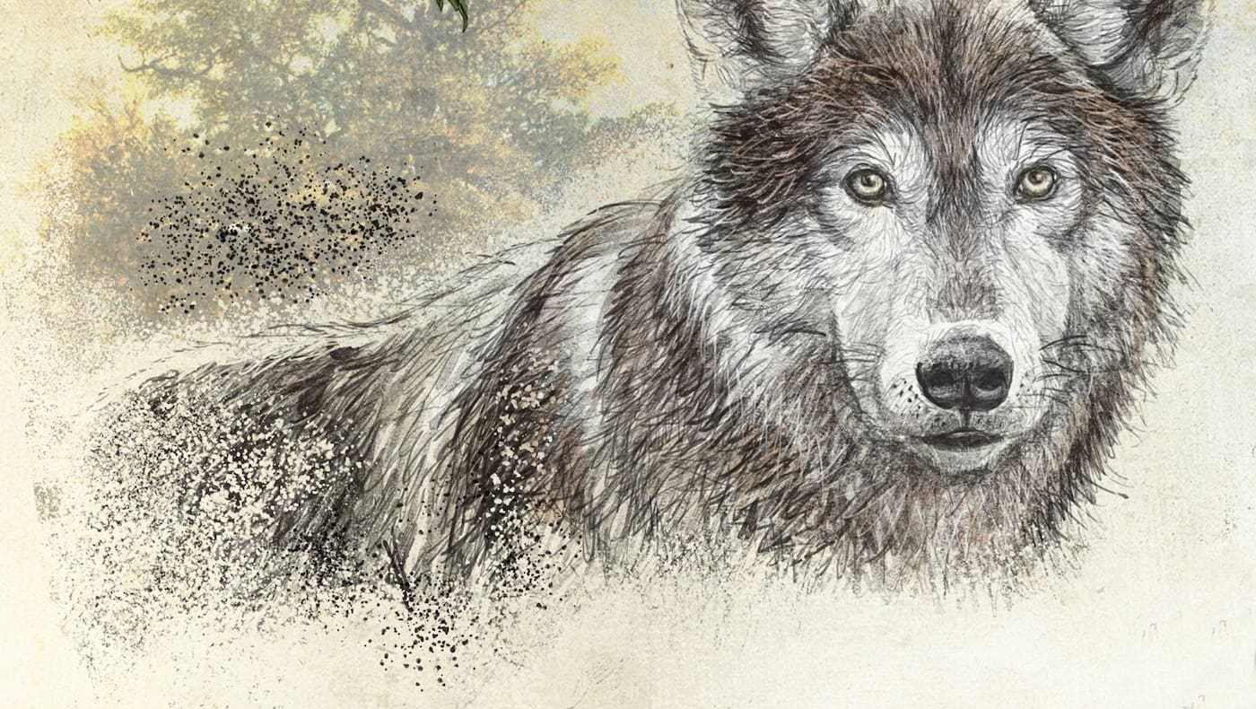 Wolf, Tiere, Symbolik, Servus