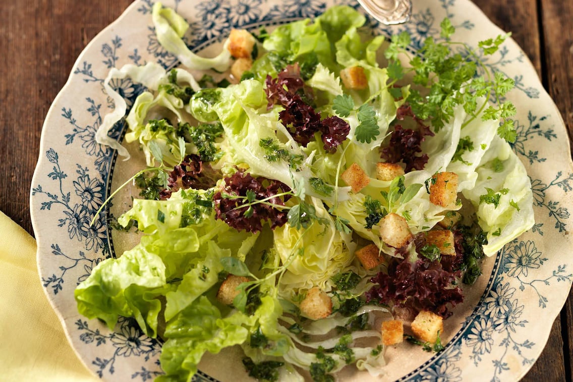 Salat, Brotwürfel, Teller, Vorspeise, Sommerrezept, Servus Rezept